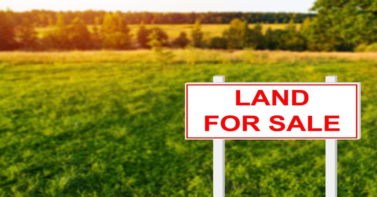 8 kroků, jak úspěšně prodat pozemek v roce 2024?