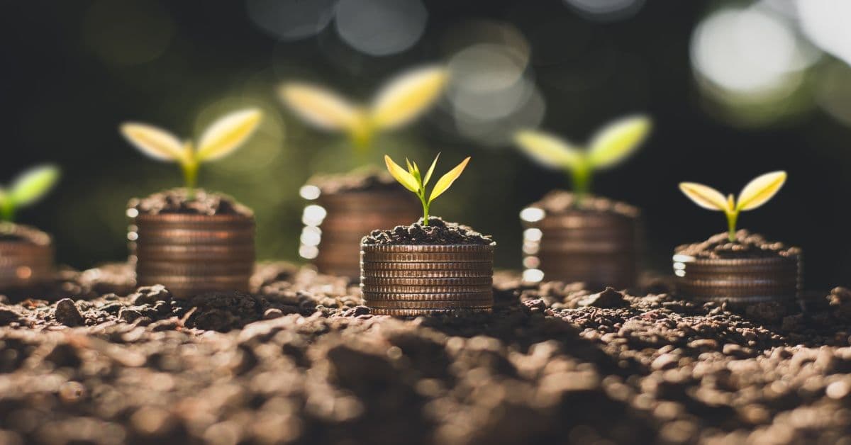 Víte, kam a jak investovat peníze v roce 2024?