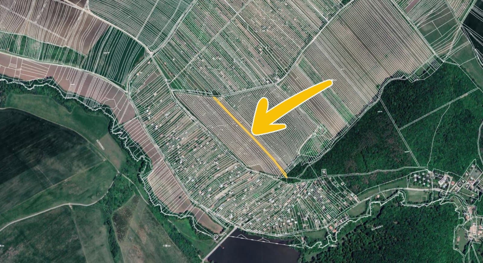 Strážnice na Moravě 2.jpg