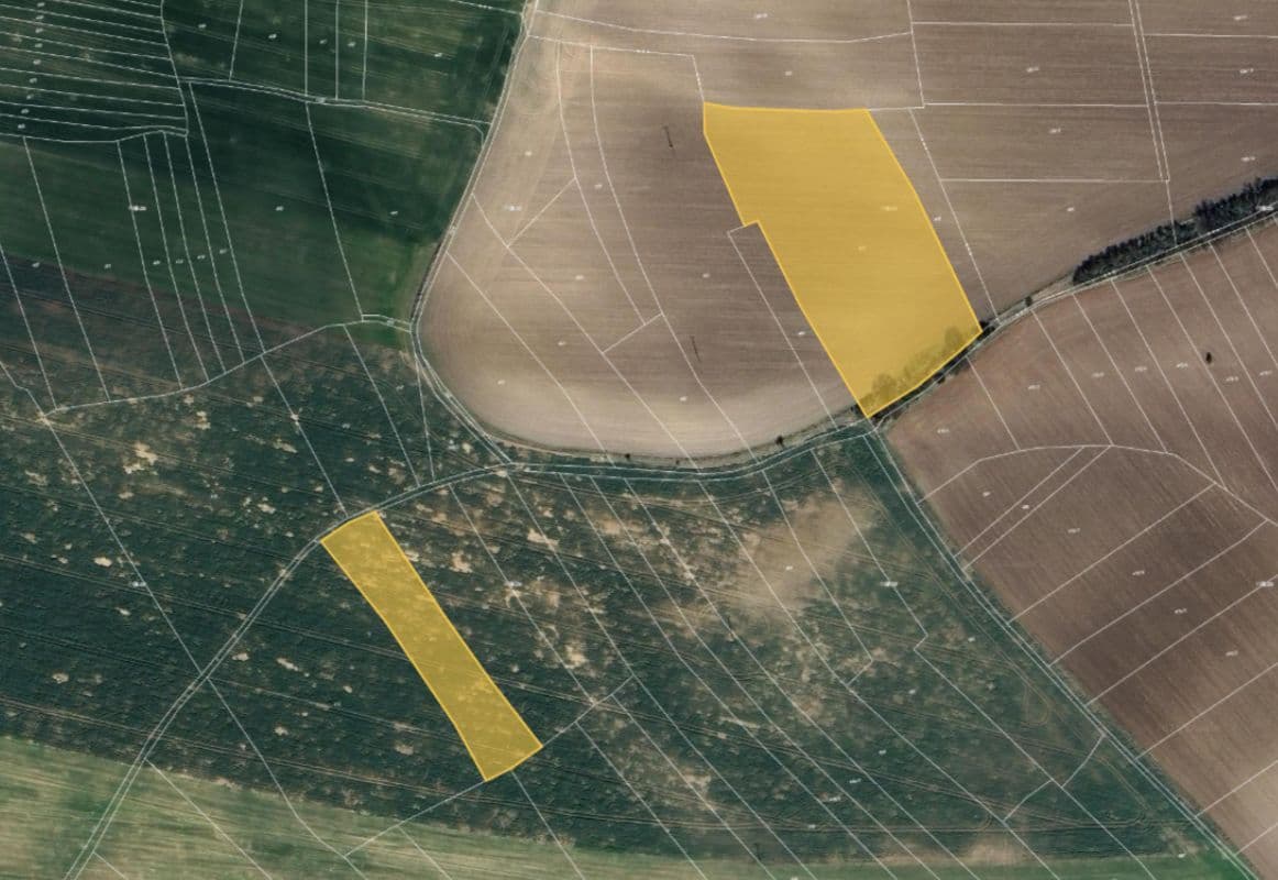 Bez názvu (960 x 800 px) (1162 x 800 px) - 2025-03-24T152221.638.jpg