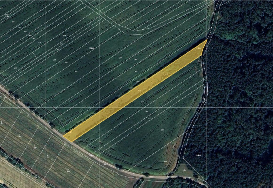 Bez názvu (960 x 800 px) (1162 x 800 px) - 2025-03-04T131154.966.jpg