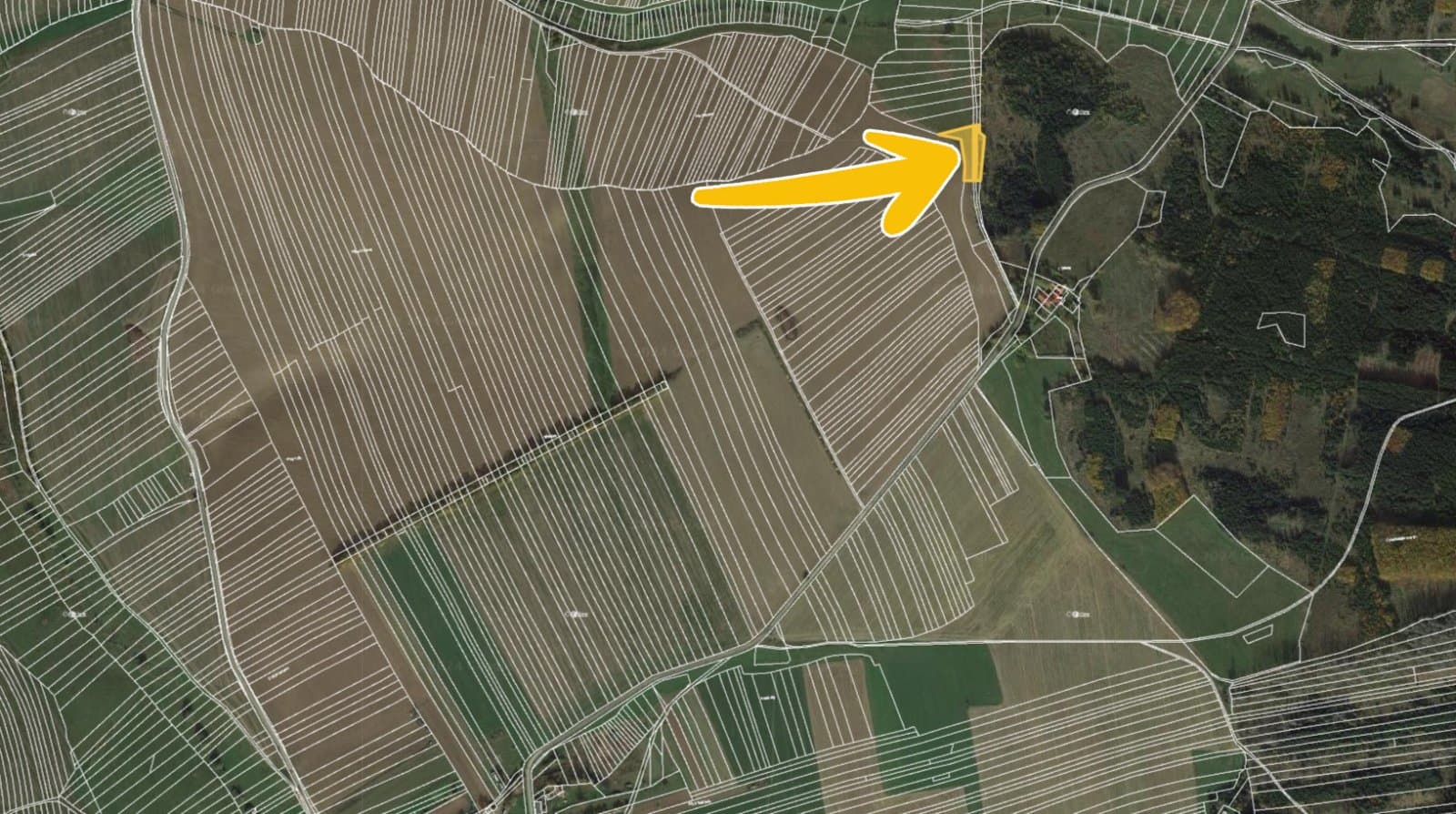 Předín 8.jpg