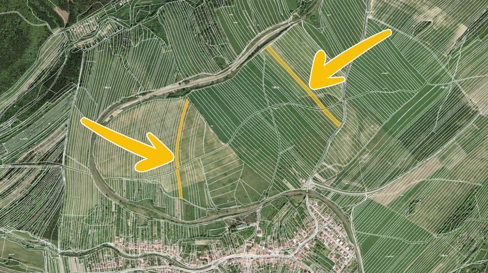Pitín 2.jpg