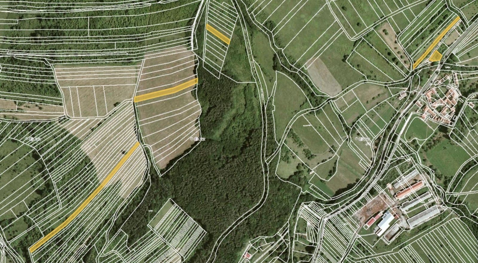 Javorník nad Veličkou 6.jpg