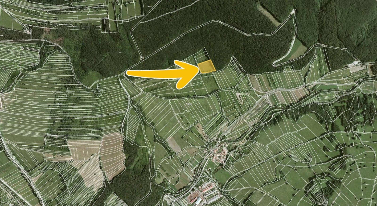 1680023006-1805.jpg