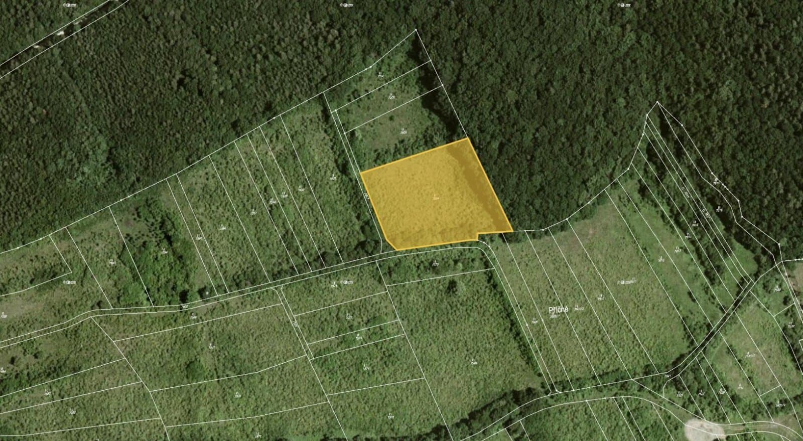 1680023004-7772.jpg