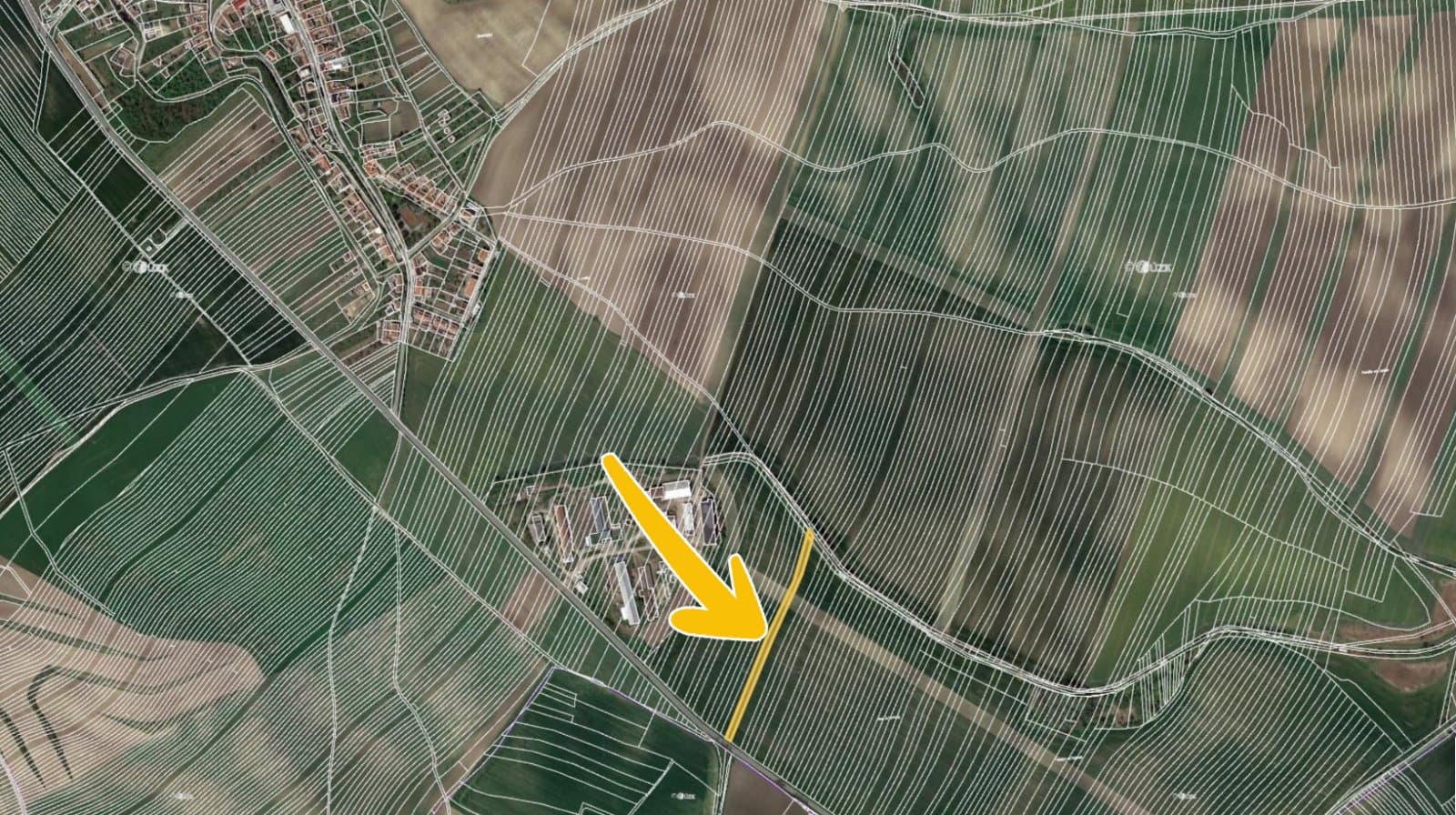 Borkovany 6.jpg
