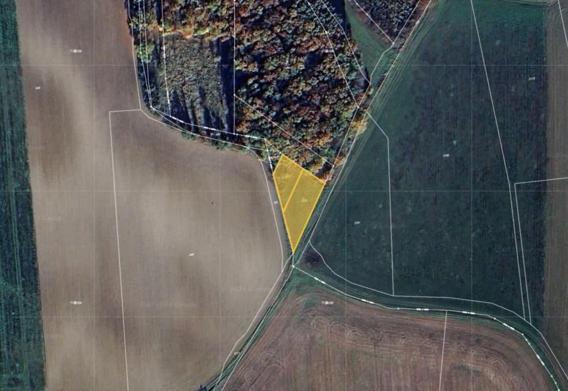 Bez názvu (960 x 800 px) (1162 x 800 px) - 2025-01-15T115201.949.jpg