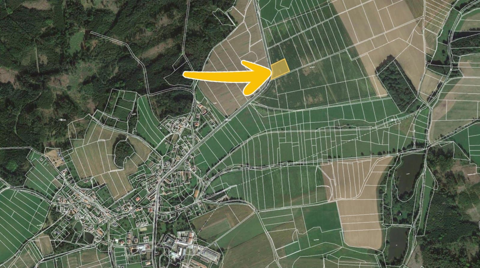 Oselce 5.jpg