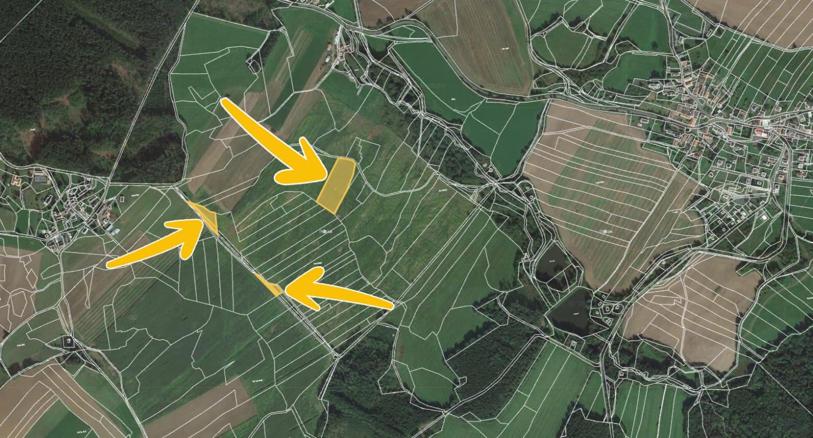 Skořice 2.jpg