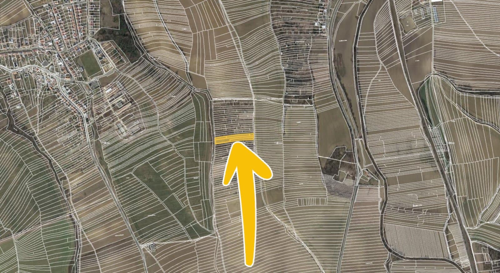Boršov u Kyjova 2.jpg