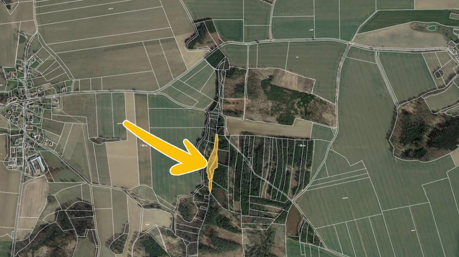 Hlasivo 2.jpg