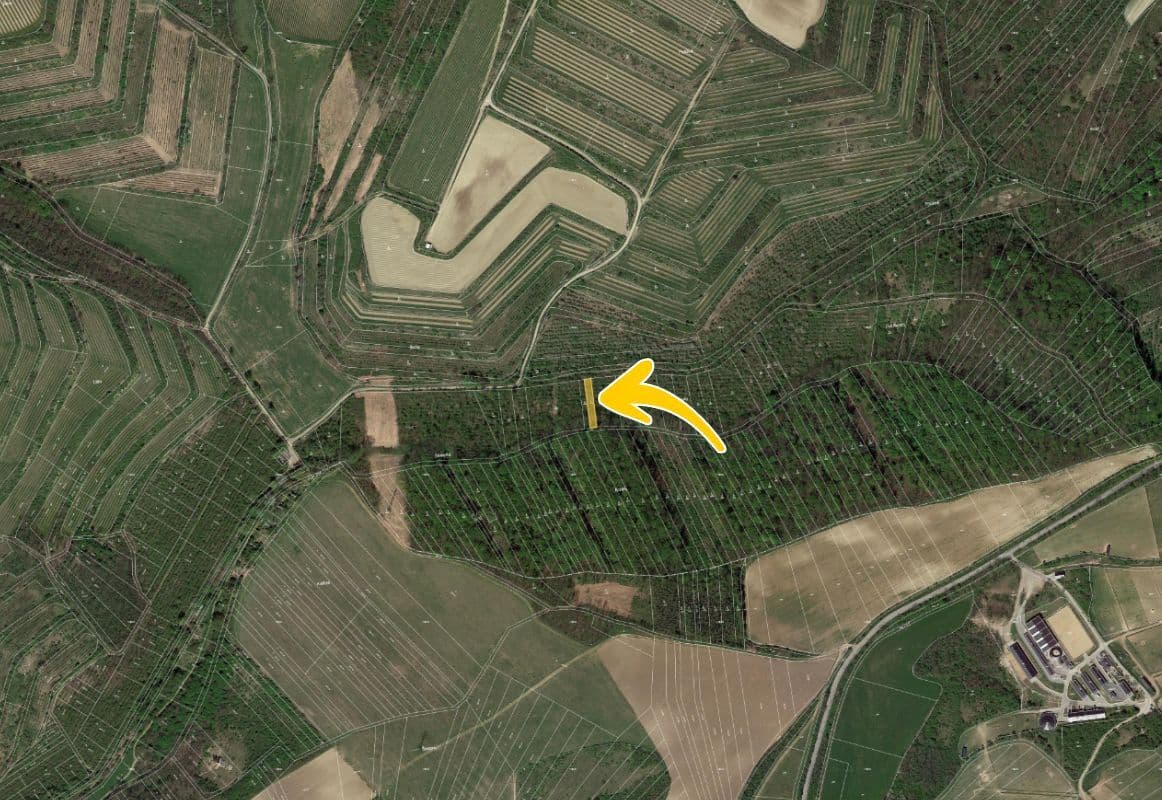 Bez názvu (960 x 800 px) (1162 x 800 px) - 2025-06-18T144549.467.jpg