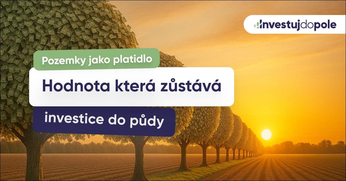 Pozemky jako druhé platidlo: Proč má půda vyšší hodnotu než peníze