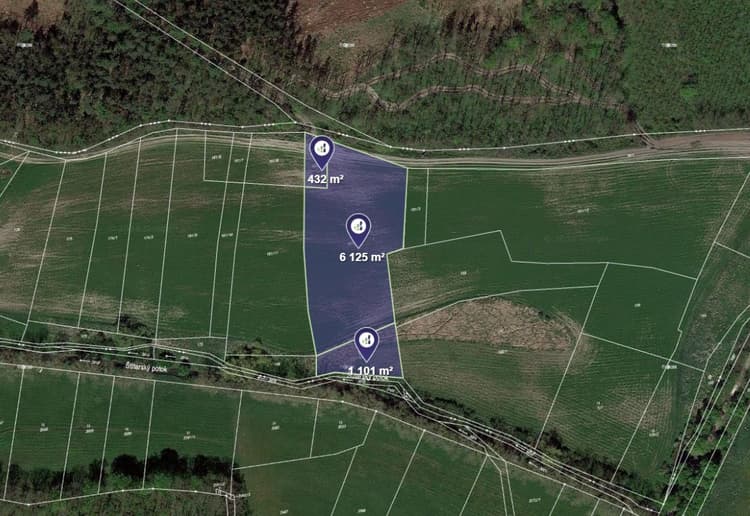 Prodej pole v k.ú. Vinice u Městce Králové