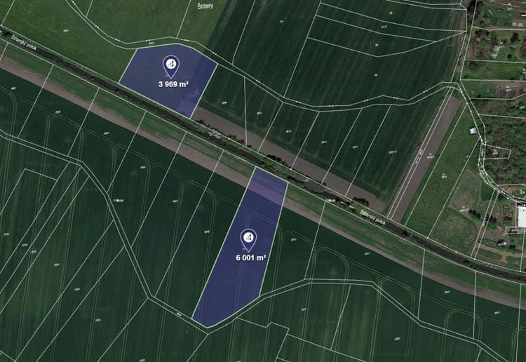 Prodej pole v k.ú. Městec Králové