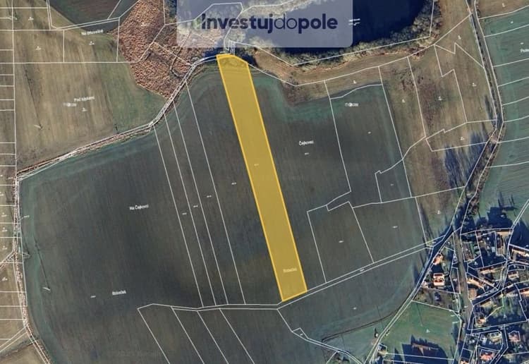 Prodej podílu 1/12 pole 1 325 m², Předotice - Křešice