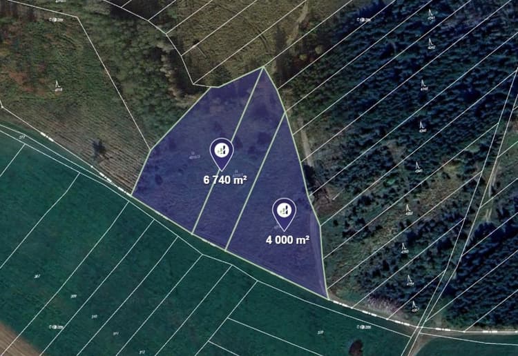 Prodej louky v k.ú. Opatov na Moravě