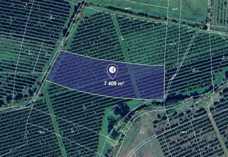 Prodej  sadu v k.ú. Soběnice