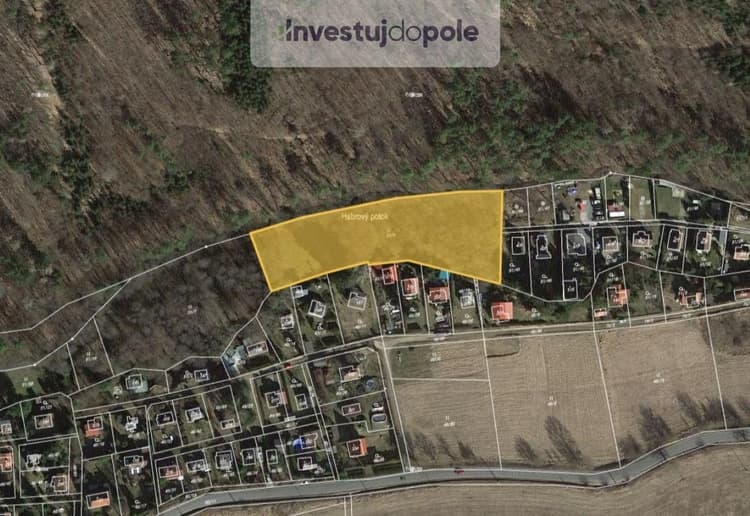 Prodej louky 4 501 m², Nový Jáchymov