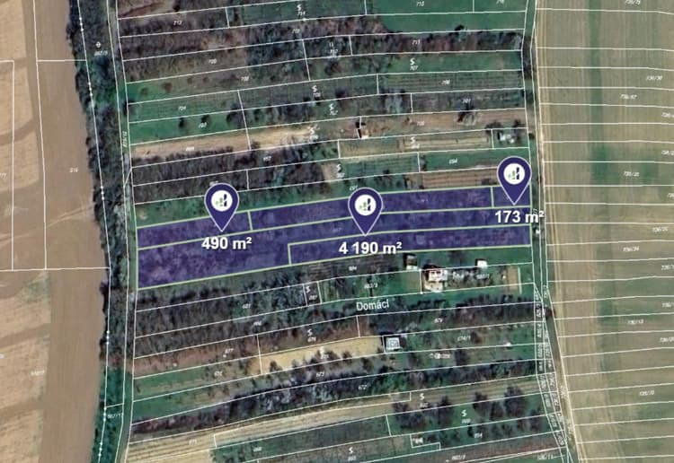 Prodej vinice v k.ú. Boršov u Kyjova