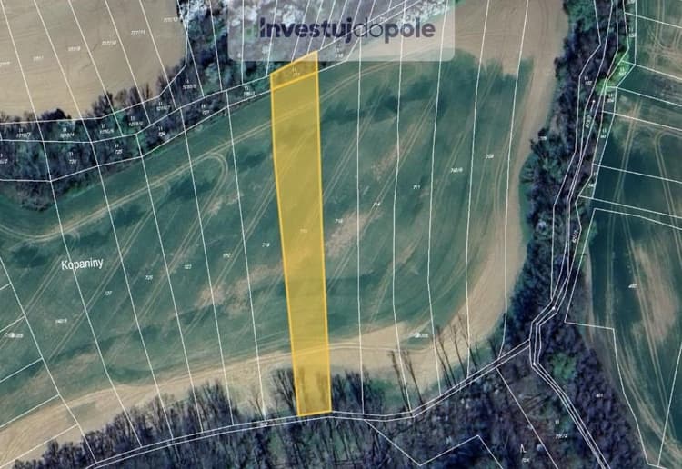 Prodej pole v k.ú. Milovice