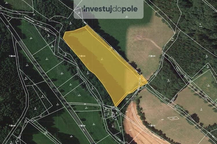 Prodej podílu 1/3 louky 7 040 m², Rapotín