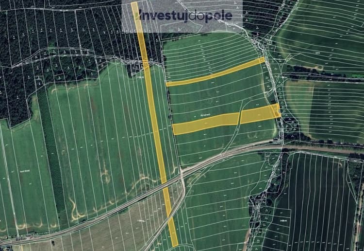 Prodej podílu 1/8 pole 2 538 m², Nová Ves