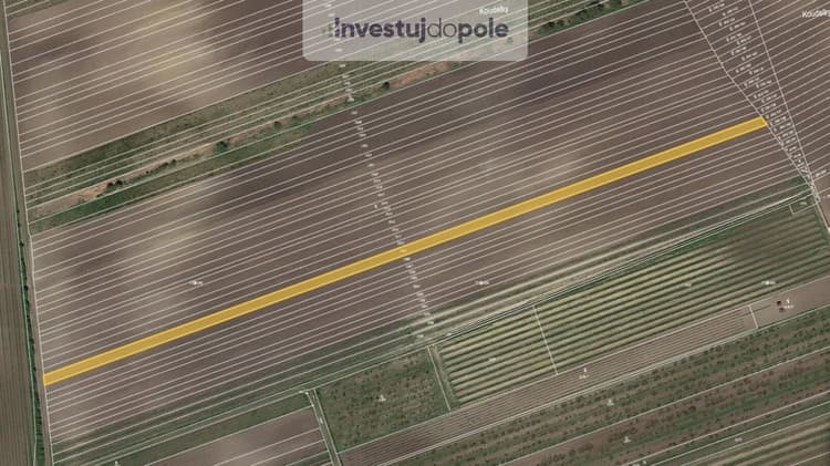 Prodej pole 3 452 m², Velké Pavlovice