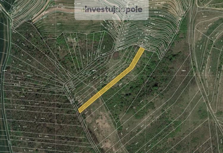 Prodej pole 1 770 m², Hustopeče