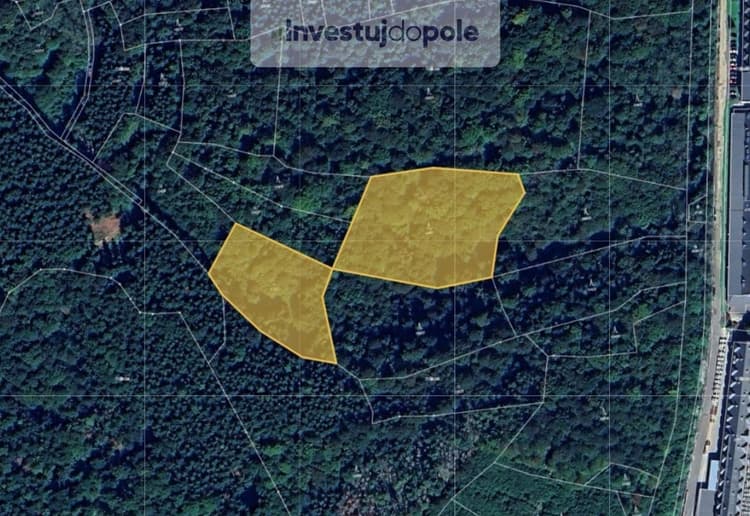 Prodej lesa 11 175 m², Vsetín