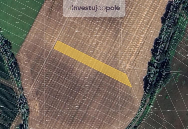 Prodej podílu 1/2 pole 2 555 m², Dubňany