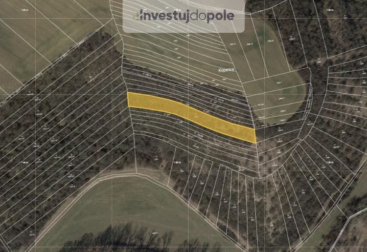 Prodej louky 2 864 m², Cetechovice