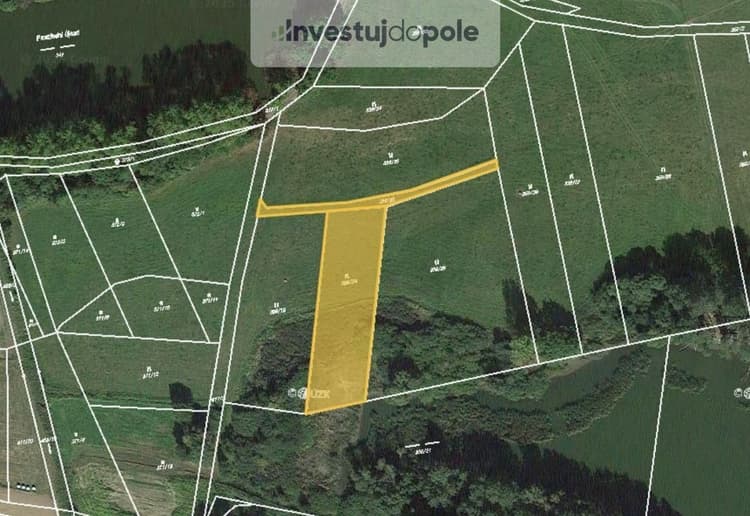 Prodej louky 2 378 m², Chanovice - Újezd u Chanovic