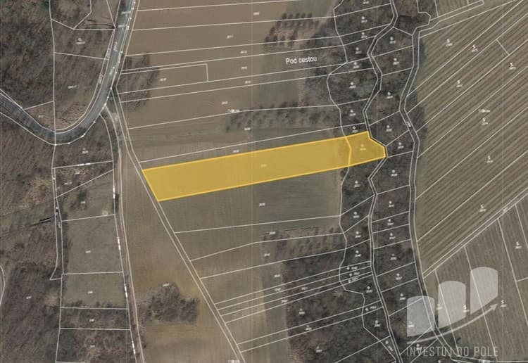 Prodej pole 4 465 m², Újezdec
