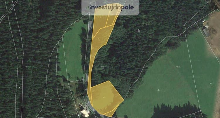 Prodej louky 12 674 m², Vimperk - Arnoštka