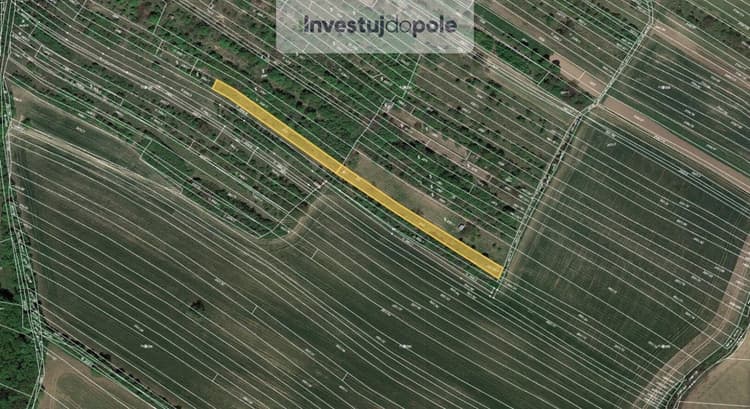 Prodej pole 2 027 m², Klobouky u Brna