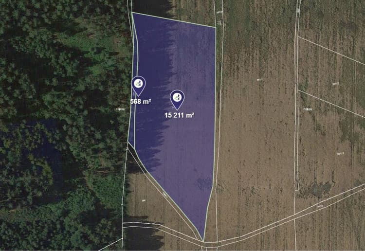 Prodej pole v k.ú. Mříčná