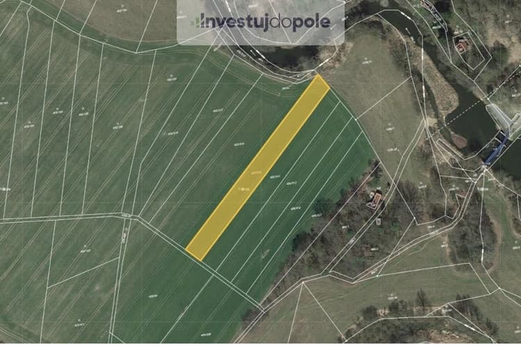 Prodej pole 3 824 m², Val