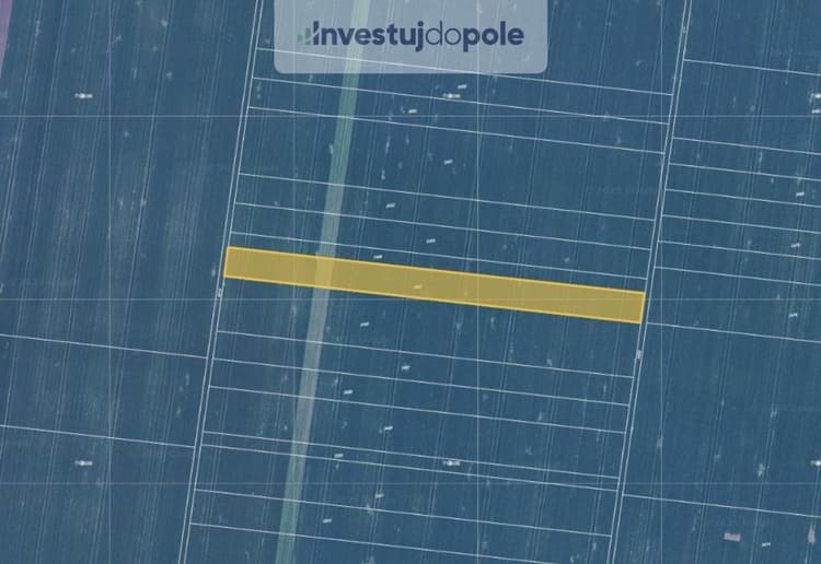Prodej pole 3 674 m², Sokolnice