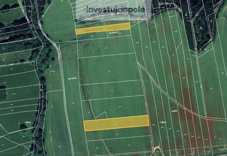 Prodej podílu 1/8 pole 1 013 m², Nová Ves