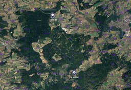 Sýkořice - foto 3
