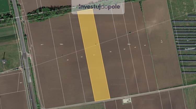 Prodej pole 12 397 m², Horní Věstonice