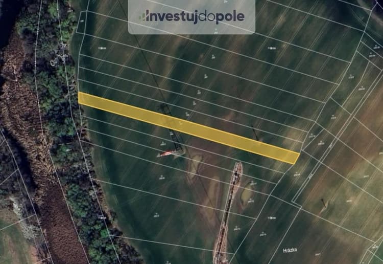 Prodej louky 3 589 m², Čelákovice - Sedlčánky