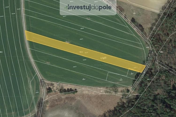 Prodej pole 5 948 m², Val