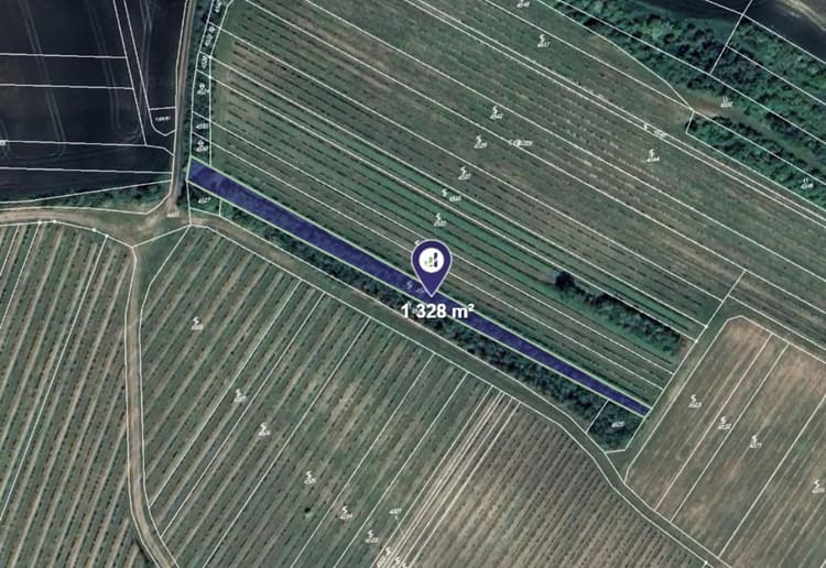 Prodej vinice v k.ú. Starovičky