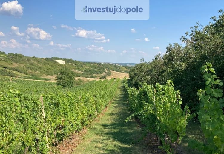 Prodej sadu / vinice 1 328 m², Starovičky