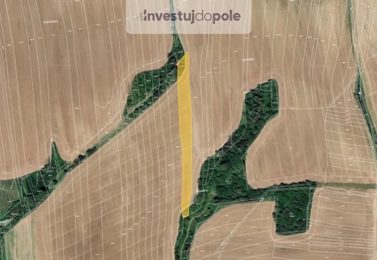 Prodej pole 5 441 m², Zborovice - Medlov