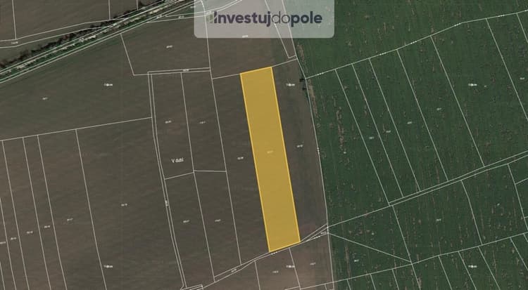 Prodej pole 6 542 m², Nučice