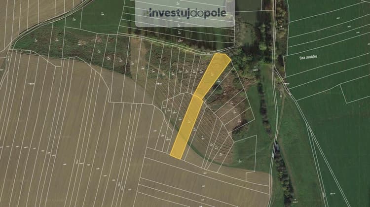 Prodej louky 6 293 m², Předín